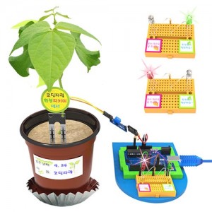 »óǰ ¼¶³×ÀÏ »óǰ ¼¶³×ÀÏ