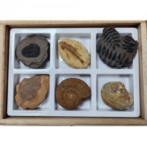 »óǰ ¼¶³×ÀÏ »óǰ ¼¶³×ÀÏ