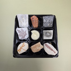 »óǰ ¼¶³×ÀÏ »óǰ ¼¶³×ÀÏ