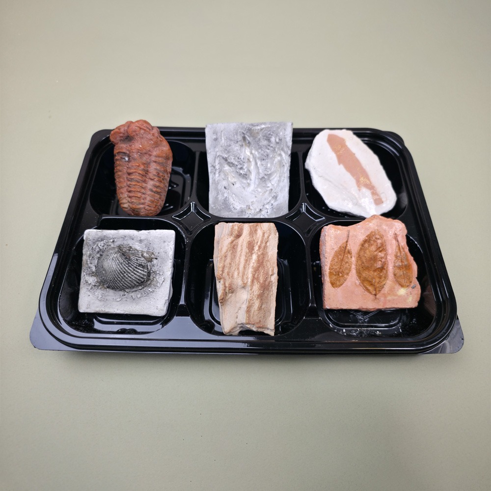 »óǰ ¼¶³×ÀÏ »óǰ ¼¶³×ÀÏ