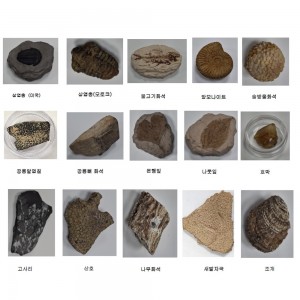 »óǰ ¼¶³×ÀÏ »óǰ ¼¶³×ÀÏ