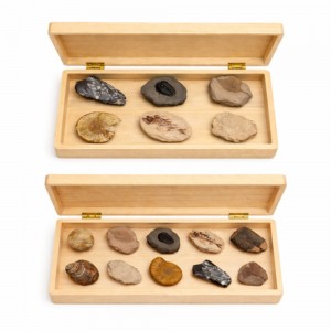 »óǰ ¼¶³×ÀÏ »óǰ ¼¶³×ÀÏ