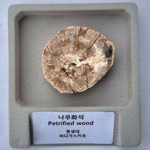 »óǰ ¼¶³×ÀÏ »óǰ ¼¶³×ÀÏ