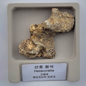 »óǰ ¼¶³×ÀÏ »óǰ ¼¶³×ÀÏ