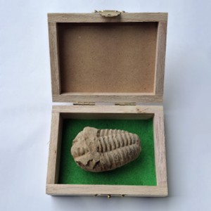 »óǰ ¼¶³×ÀÏ »óǰ ¼¶³×ÀÏ