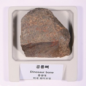 »óǰ ¼¶³×ÀÏ »óǰ ¼¶³×ÀÏ