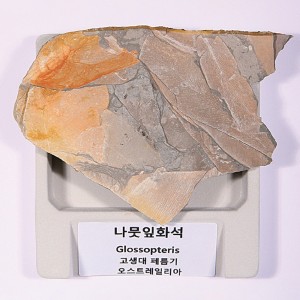 »óǰ ¼¶³×ÀÏ »óǰ ¼¶³×ÀÏ