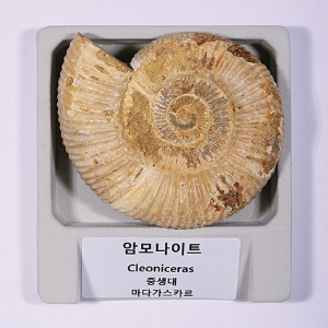 »óǰ ¼¶³×ÀÏ »óǰ ¼¶³×ÀÏ