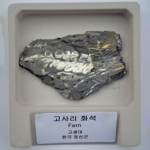 »óǰ ¼¶³×ÀÏ »óǰ ¼¶³×ÀÏ