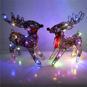 ��ǰ ������